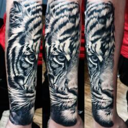 Incredible Tattoo Galleries 17 4017479668