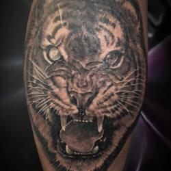 Incredible Tattoo Galleries 18 1214393615
