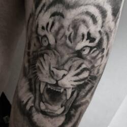 Incredible Tattoo Galleries 20 3397740218