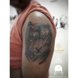 Incredible Tattoo Galleries 23 423901000