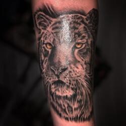 Incredible Tattoo Galleries 27 3379107723