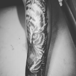 Incredible Tattoo Galleries 30 990990253