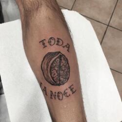 1163919215