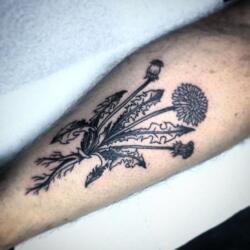 Galerías de Tatuajes Increíbles 8 258496646