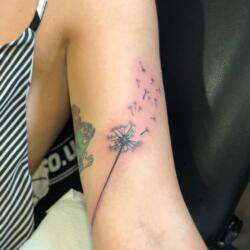 Galerías de Tatuajes Increíbles 12 546799826