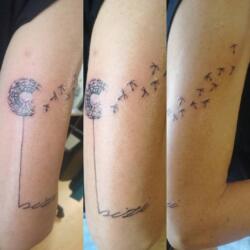 Galerías de Tatuajes Increíbles 74 2850091969