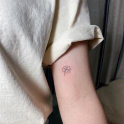 3448277882