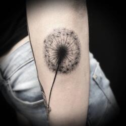 Galerías de Tatuajes Increíbles 2 3375915766