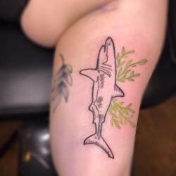 Incredible Tattoo Galleries 13 3794972953