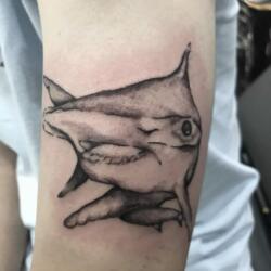 Incredible Tattoo Galleries 11 3592517517