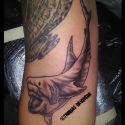 Incredible Tattoo Galleries 8 3952822057