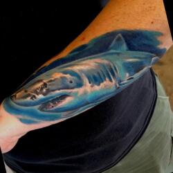 Incredible Tattoo Galleries 6 2014978531