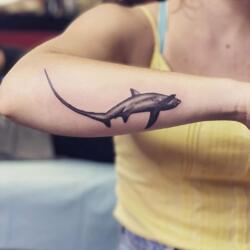 Incredible Tattoo Galleries 3 2536833554