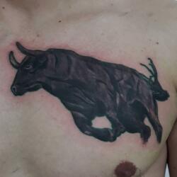 Incredible Tattoo Galleries 1 2631754399