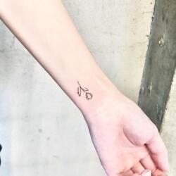 2633378164