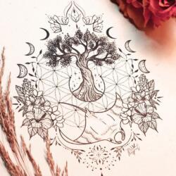 3356679644