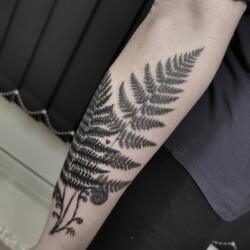 Incredible Tattoo Galleries 2 3350039572