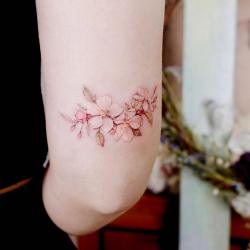 49 Apple Blossom Tattoos Los Mejores Tatuajes 49 Apple Blossom Tattoos Los Mejores Tatuajes