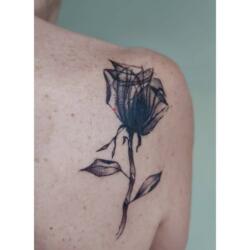 Incredible Tattoo Galleries 16 3283555059