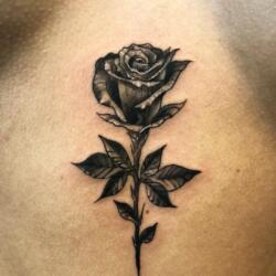 Incredible Tattoo Galleries 17 1648042835