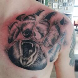 Incredible Tattoo Galleries 26 3469736508