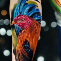 Incredible Tattoo Galleries 8 31025164