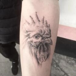 Incredible Tattoo Galleries 24 4026379220