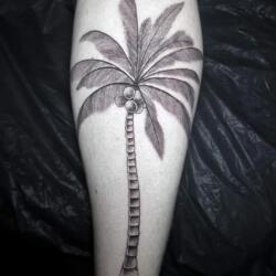 Incredible Tattoo Galleries 3 3322987222