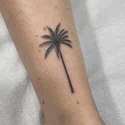 Incredible Tattoo Galleries 14 625690619