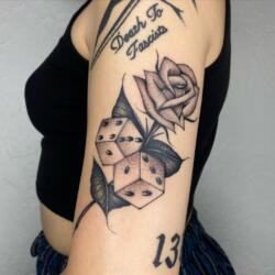 264808294